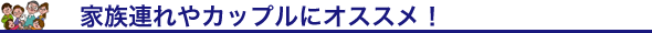 Ƒs̓Jbvŝ߂̊ize